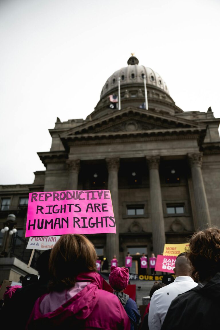 Protesters gather with signs advocating reproductive rights outside a government building.